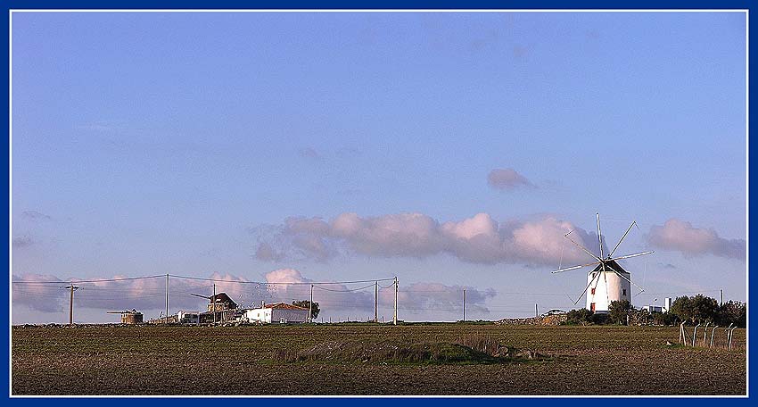 Stacks Image 38